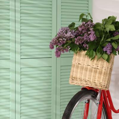 Exterior Accordion Hurricane Shutters: Protection and Style
