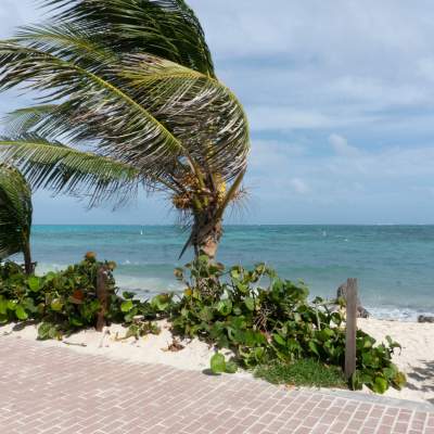 Why Accordion Shutters Are a Must-Have for Storm Protection