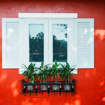Affordable Window Shutters